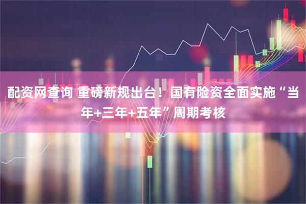 配资网查询 重磅新规出台！国有险资全面实施“当年+三年+五年”周期考核
