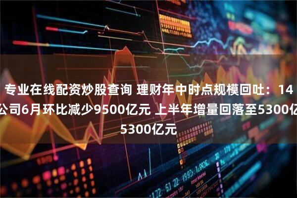 专业在线配资炒股查询 理财年中时点规模回吐：14家公司6月环比减少9500亿元 上半年增量回落至5300亿元