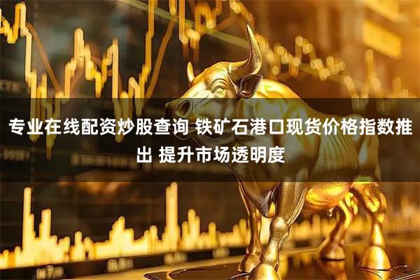 专业在线配资炒股查询 铁矿石港口现货价格指数推出 提升市场透明度