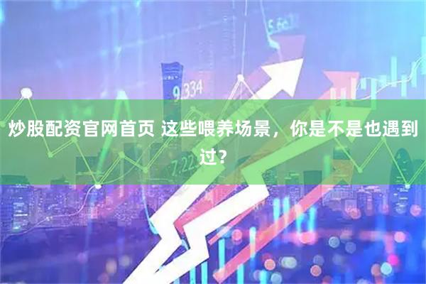 炒股配资官网首页 这些喂养场景，你是不是也遇到过？